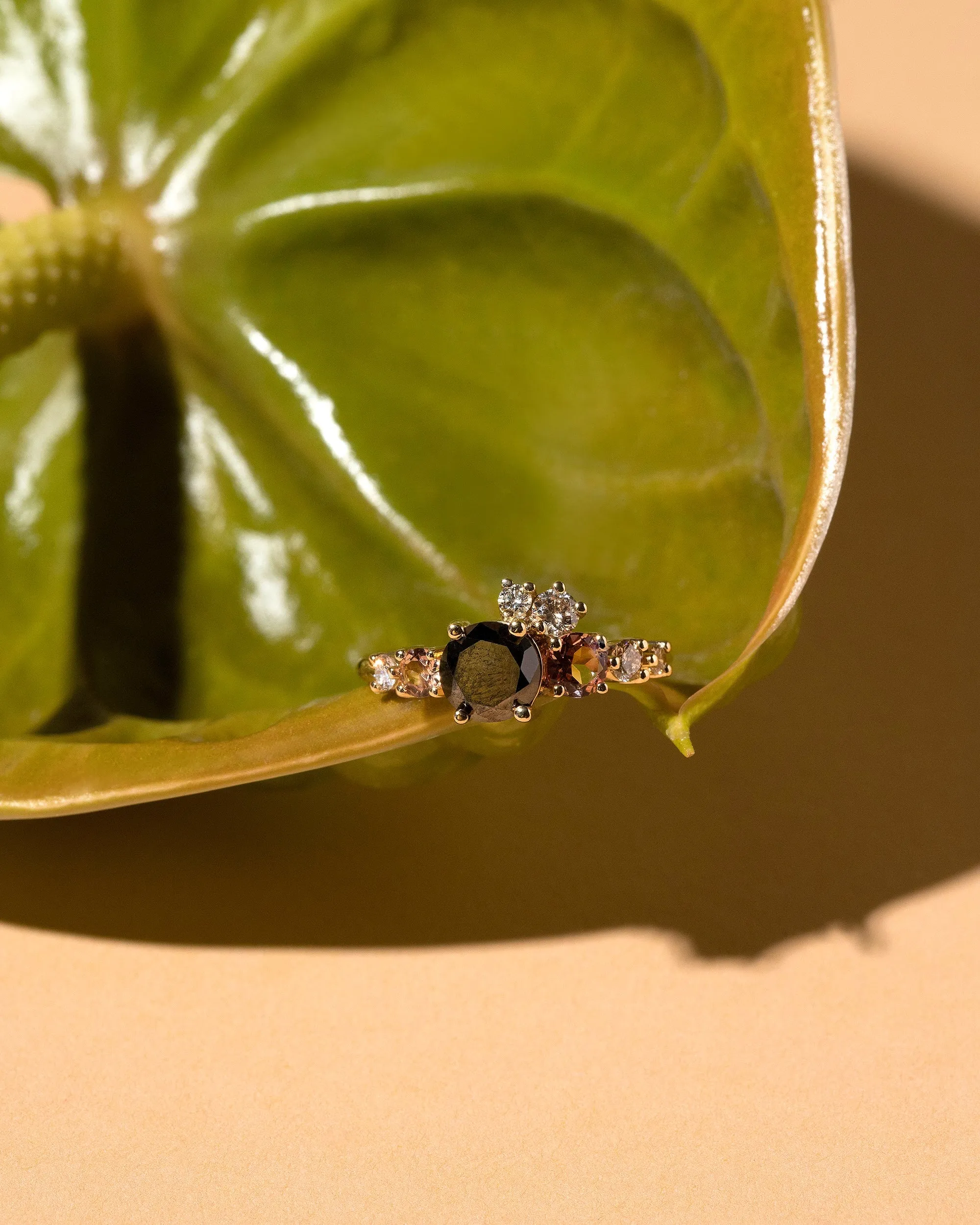 Luna Ring - Black & Champagne Diamond